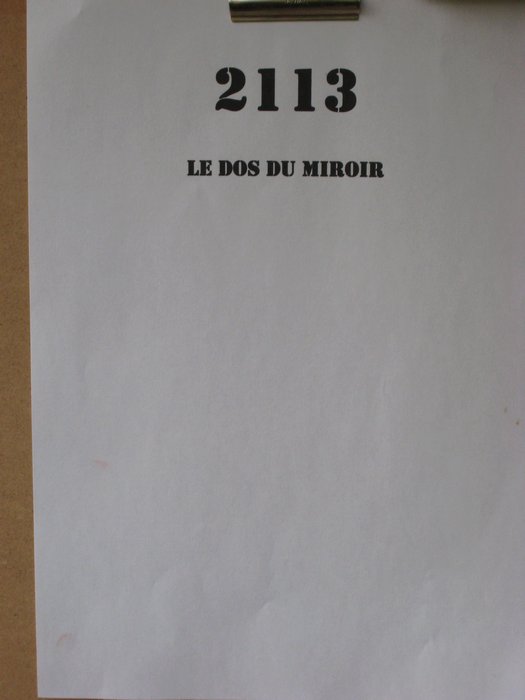 2113 le dos du mirroir